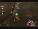 ゼルダの伝説ブレスオブザワイルド実況プレイ(DLC編)Part11