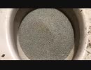 M&M'sと猫のトイレをトイレに流してみた