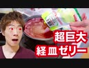 超巨大経皿ゼリー作ってみた！