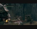 持たざる者が忘れ物をしたようです14【DARKSOULS縛りプレイ】