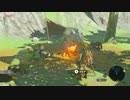 【実況】Wildな男を目指して-ゼルダの伝説 ブレス オブ ザ ワイルド-part14