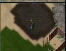 【UO】コギャルを求めて～後編