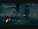 持たざる者が忘れ物をしたようです16【DARKSOULS縛りプレイ】