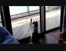 虫に遊ばれているくるみちゃん