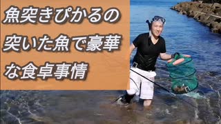 【ぴ】美味しいものは自分で採取！キジハタ、クロダイ定食！野外飯