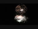 【2020年8月13日】滋賀農業公園 ブルーメの丘　ミュージック花火大会