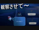 【あつまれ どうぶつの森】　第六十五幕　夜の素潜りで高級食材とったど～！！ついでにラッコも観察したど～2