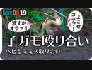 0819【カルガモ親子のミミズ蛇捕食】雛同士で喧嘩、雀集団、カワセミ飛び込み、シジュウカラなど【今日撮り野鳥動画まとめ】身近な生き物語