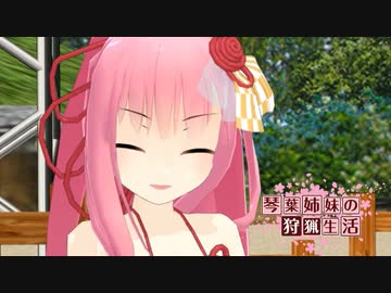 【MMD】ドーナツホール【琴葉姉妹】