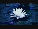 【オリジナル】湖月に咲【和風ドラムンベース】