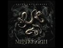 Meshuggah - In Death - is Life/ In Death - is Death