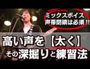 【ミックスボイス：高い声を「太く」発声したいならコレだ！！】声帯の閉鎖特訓☆ご紹介！！