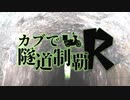 【東北姉妹車載】カブで隧道制覇R 2本目