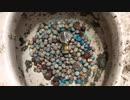 M&M'sと腕時計をトイレに流してみた