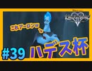 【KH2FM】#39 ハデス杯開催！アーロンがハデスの人形にされちゃった！！【無知過ぎるキングダムハーツ2 実況】
