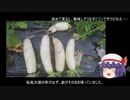 ゆっくり農民140畑を乗っ取ってみませんか？#6