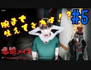 【実況】妹を探して鬼怒川へ 感染メイズ part5