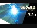 【ゼルダの伝説ブレスオブザワイルド＃25】諦めなかったことの結末【はるの積みゲー崩し】