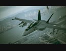 ジョリーロジャーF/A-18