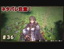 カイルめんどくさ！アンセルニアの戦い！！