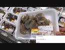 米欄有版 #七原くん 20200820「夏の野外学習！　2」(#キャンプ飯 買い出し #ソロキャンプ)