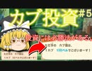 【あつ森】#5無人島をゼロから遊園地に作り変えます【ゆっくり実況】