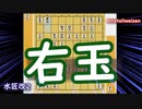【エフェクト将棋動画】水匠改2 vs Kristallweizenの超次元将棋