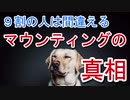 マウントの真相は平和的解決手段！？犬の心理を解き明かす