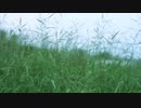 風見芳明