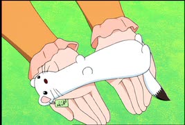 しあわせソウのオコジョさん　第7話　その１「コジョピー大変身！」／その２「恋するコジョピー」