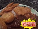 揚げ物５種盛り大満足・梅田 カレーハウス