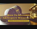 How To Become An Expert Witness UK