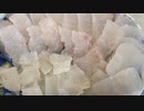【秋はる釣り日記】アジングロッドにまさか！高級魚！！ブッコミ、アジング料理編