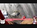 出戻りオヤジの釣行記＃１【ゆっくり＋VOICEROID】