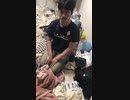 ホモと見る伝統芸能