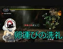 初の卵運びに苦戦するまるひこ【総集編】