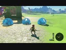 【ゼルダの伝説BotW】最終剣に憧れてBotW part39【初見実況】