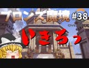 【オーバーウォッチ】熱闘、奇跡の魔女爆誕！ ブロンズ魔境 #038【ゆっくり実況】