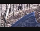 ニホンカモシカｖｓ神