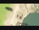 依頼を受けて、ボコブリンを落としてシュールな動きをさせてみた