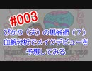 ぴかり（夫）の馬券術（？）　血統分析でメイクデビューを予想してみる #003