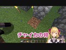 (確認動画)でびリオンと不思議なお墓