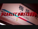 SCARLET UMETSUBO