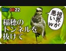 0822【カルガモ親子の兄弟喧嘩】悲劇の雛たち、奇形・怪我。ハクセキレイ、ショウジョウトンボ、カワセミ幼鳥、野鳥の会など【今日撮り野鳥動画まとめ】身近な生き物語