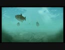 ◉夏休みないのでぼくのなつやすみ３やるpart22◉