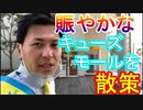 【箕面市議会議員選挙2020の立候補者】賑やかなキューズモールを散策【投票日は8月23日】