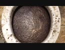 スキットルズと砂利とマクドナルドのコーヒーをトイレに流してみた