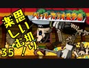 【実況】思い切り楽しむ！【ペーパーマリオRPG】Part35