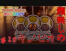 顔を失ったキノピオ　「ペーパーマリオオリガミキング」　＃20