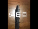 黒折り紙で千羽鶴を作っていく　54日目